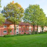 Rent 2 bedroom apartment of 43 m² in Tecklenburg