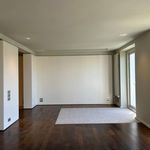 Rent 1 bedroom apartment of 150 m² in Madrid