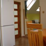 Rent 4 bedroom apartment of 51 m² in Plzeň