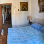 Rent 3 bedroom apartment of 120 m² in Pisa