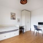 Miete 1 Schlafzimmer wohnung von 24 m² in Ingelheim am Rhein