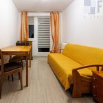 Rent 2 bedroom apartment of 37 m² in Sosnowiec