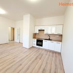 Rent 2 bedroom apartment of 34 m² in Havířov