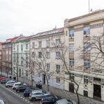 Rent 3 bedroom apartment of 84 m² in Prague