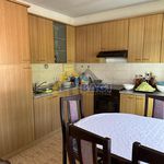 Rent 3 bedroom house of 150 m² in Zagreb