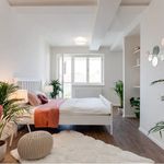 Rent 2 bedroom apartment of 85 m² in Praha