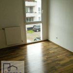 Rent 4 bedroom apartment of 85 m² in Rives