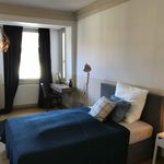 Rent 5 bedroom apartment in Stuttgart