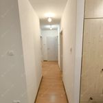 Rent 1 bedroom apartment of 65 m² in Budapest