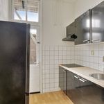 Rent 1 bedroom apartment of 50 m² in Arnhem