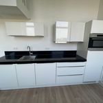 Rent 2 bedroom apartment of 30 m² in Putten