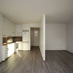 Vuokraa 1 makuuhuoneen asunto, 39 m² paikassa Lahti