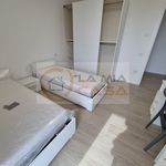 Rent a room of 90 m² in Legnaro