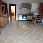 Rent 2 bedroom apartment of 63 m² in Colonna