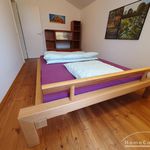 Miete 2 Schlafzimmer wohnung von 60 m² in Königswinter