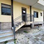 Rent 2 bedroom apartment of 75 m² in Acerra