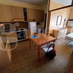 Affitto 1 camera appartamento di 35 m² in Chioggia