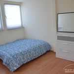 Rent 4 bedroom apartment of 140 m² in Braunschweig