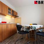 Rent 3 bedroom apartment of 55 m² in Brno