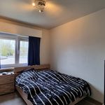 Rent 3 bedroom apartment in Zedelgem