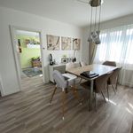Rent 5 bedroom apartment in Rothrist