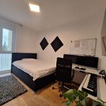 Miete 3 Schlafzimmer wohnung von 54 m² in Graz