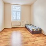 Rent 1 bedroom apartment of 225 m² in Prachatice
