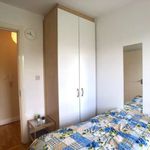 Rent a room of 60 m² in Dublin