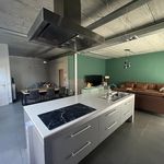 Rent 3 bedroom house of 220 m² in Berlaar