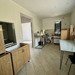 Rent 1 bedroom apartment of 735 m² in Brno