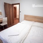 Rent 1 bedroom apartment in Číhošť