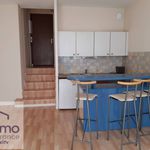 Rent 1 bedroom apartment of 25 m² in LYON 03