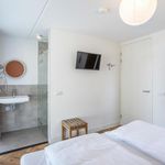 Rent 5 bedroom house in Noordwijk