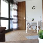 Rent 2 bedroom apartment of 72 m² in Nürnberg