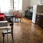 Rent 1 bedroom apartment of 70 m² in Praha