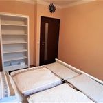 Rent 4 bedroom apartment of 120 m² in Prague