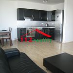 Rent 3 bedroom apartment of 86 m² in Jáchymov