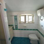 Affitto 1 camera appartamento di 42 m² in Ladispoli