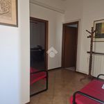 Affitto 6 camera appartamento di 240 m² in Velletri