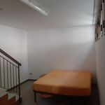 Affitto 3 camera appartamento in Bologna