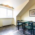 Rent 3 bedroom apartment of 145 m² in Stockerau