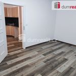 Rent 1 bedroom apartment of 36 m² in Roudnice nad Labem