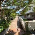 Rent 3 bedroom house of 85 m² in Praia a Mare
