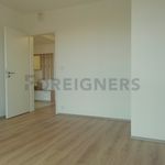 Rent 2 bedroom apartment of 81 m² in Plzeň
