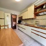 Affitto 3 camera appartamento di 120 m² in Verona