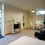 Rent a room of 40 m² in Didam