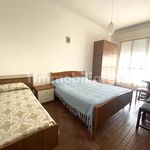 Rent 3 bedroom apartment of 62 m² in Cervia