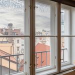 Rent 1 bedroom apartment of 168 m² in Praha
