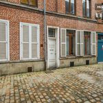 Rent 1 bedroom apartment of 50 m² in Lille