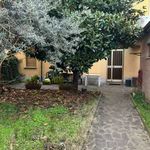 Rent 4 bedroom house of 104 m² in Bologna